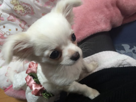 かなちゃんの2025/5/3 (土) 03:40のブログ