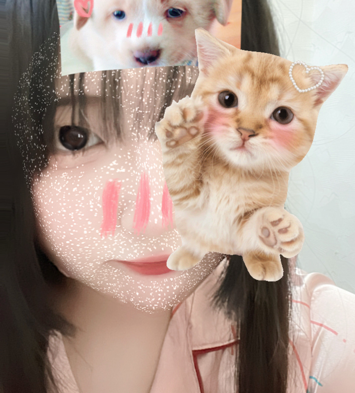 めちゃくちゃひさしぶりのログイン！