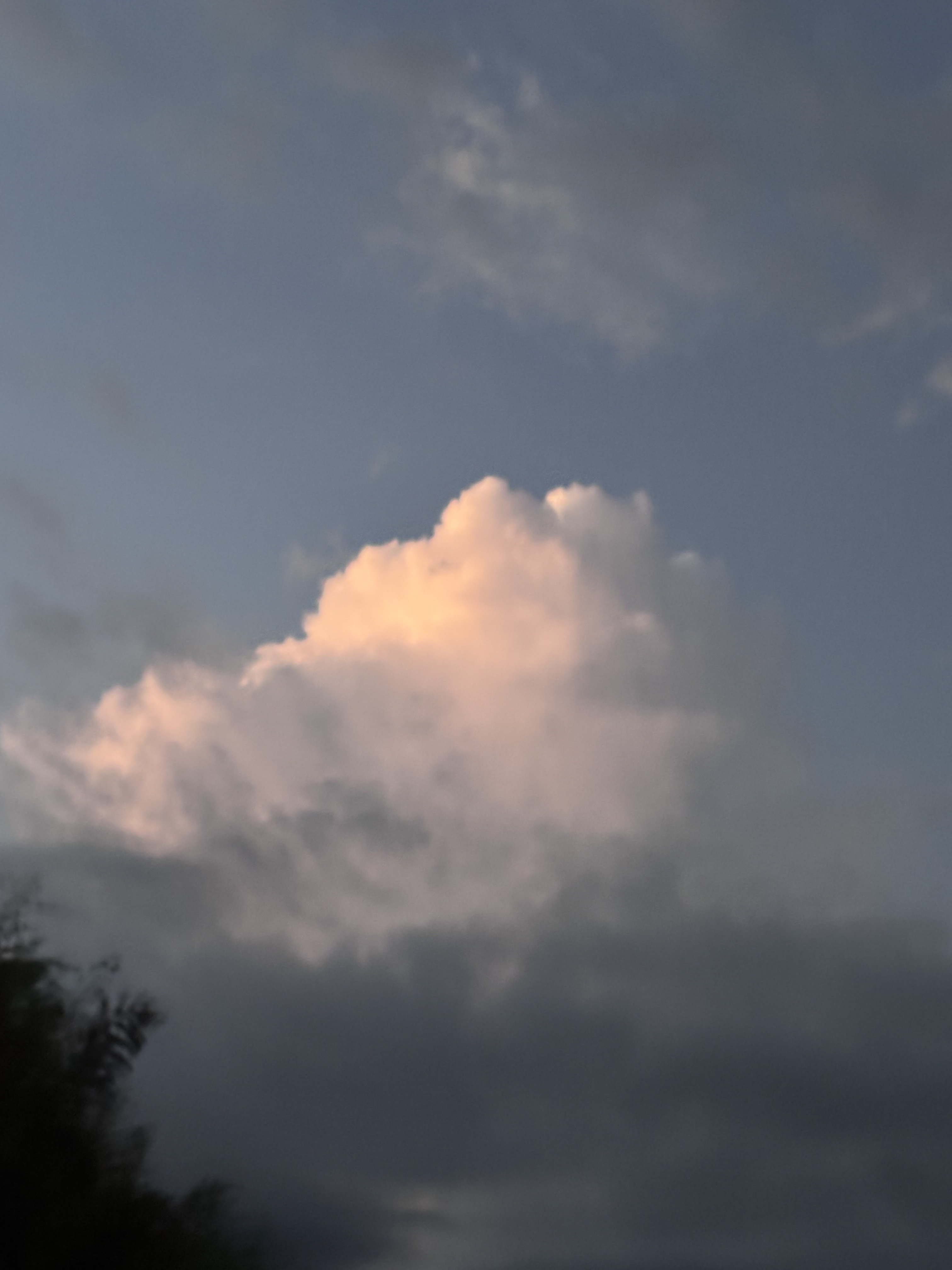 こんばんは〜！