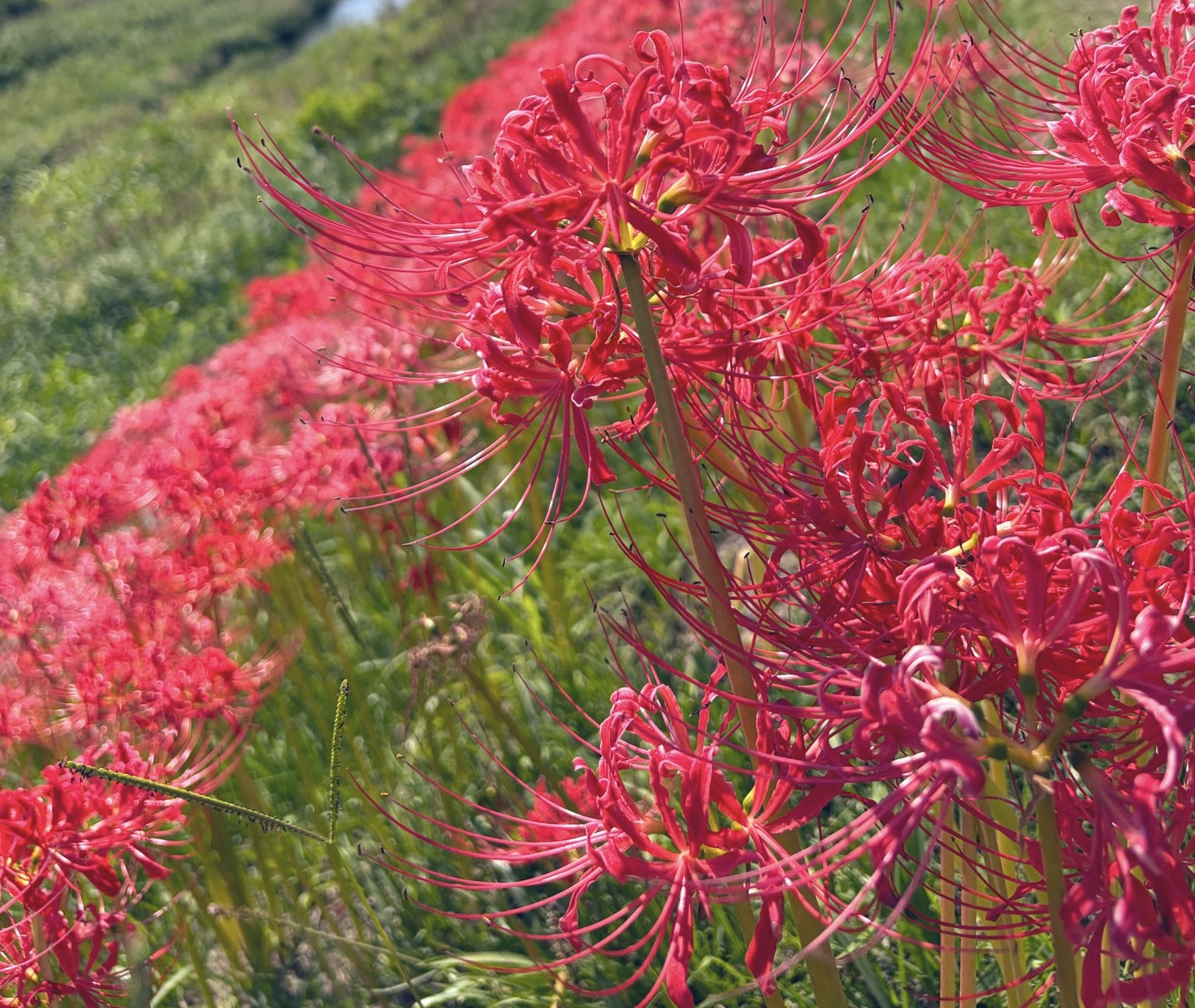お久しぶりです☆