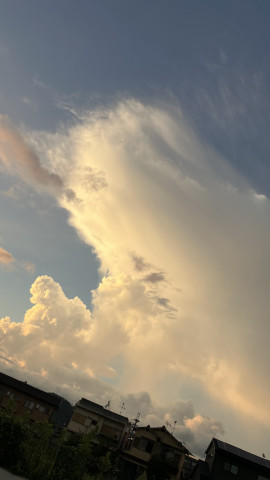 みかなちゃんの2025/8/23 (土) 18:38のブログ