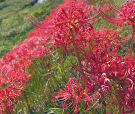 お久しぶりです☆