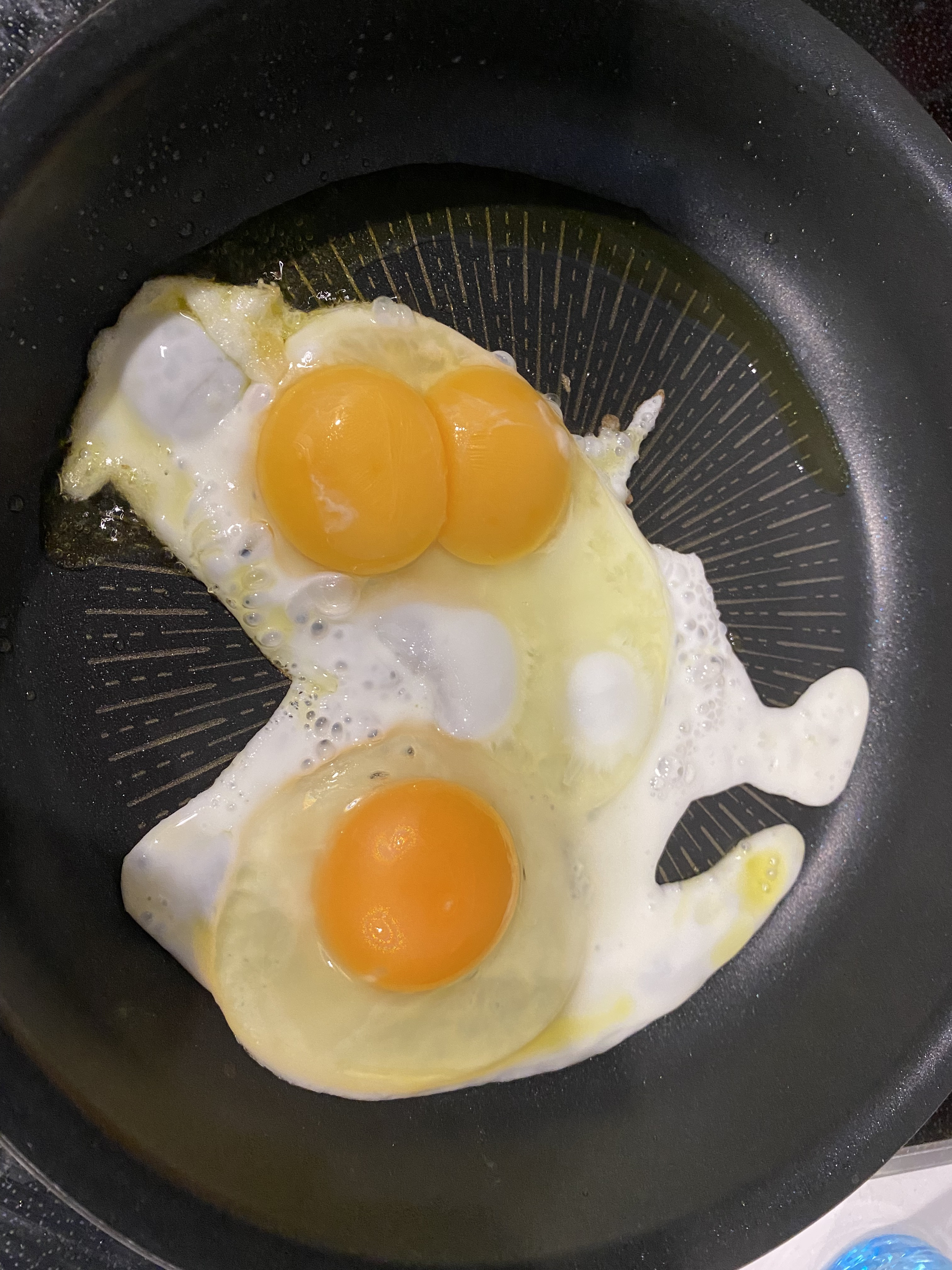 久しぶりにみたー！！