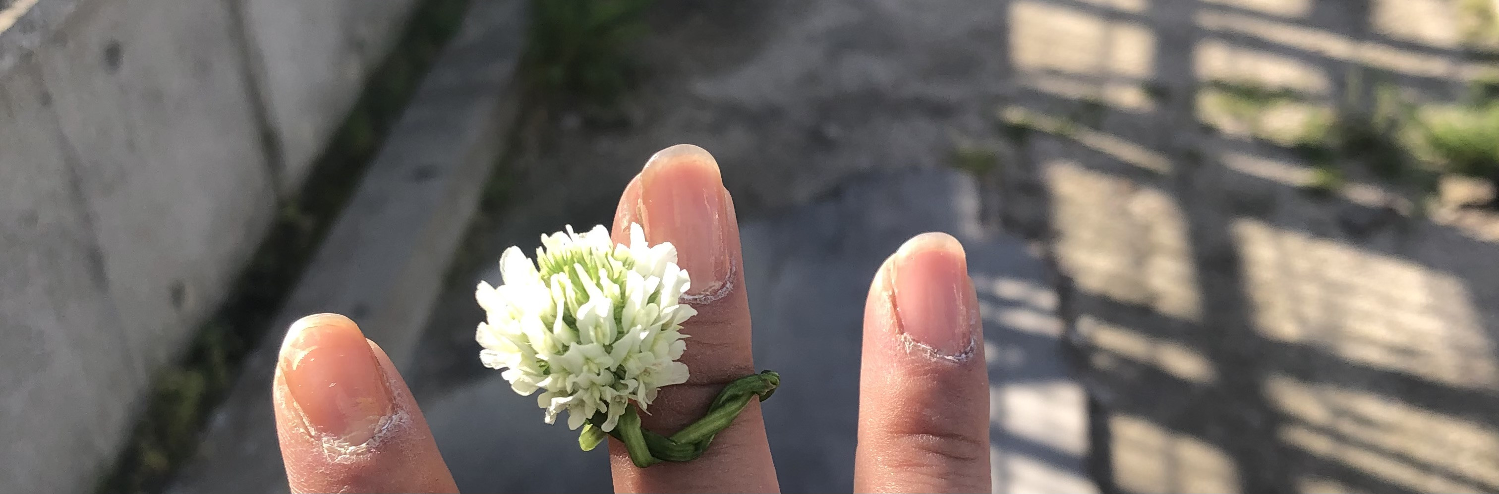 昨日の休憩時間に