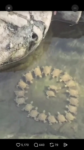 桃花ちゃんの1/21 (水) 09:57のブログ