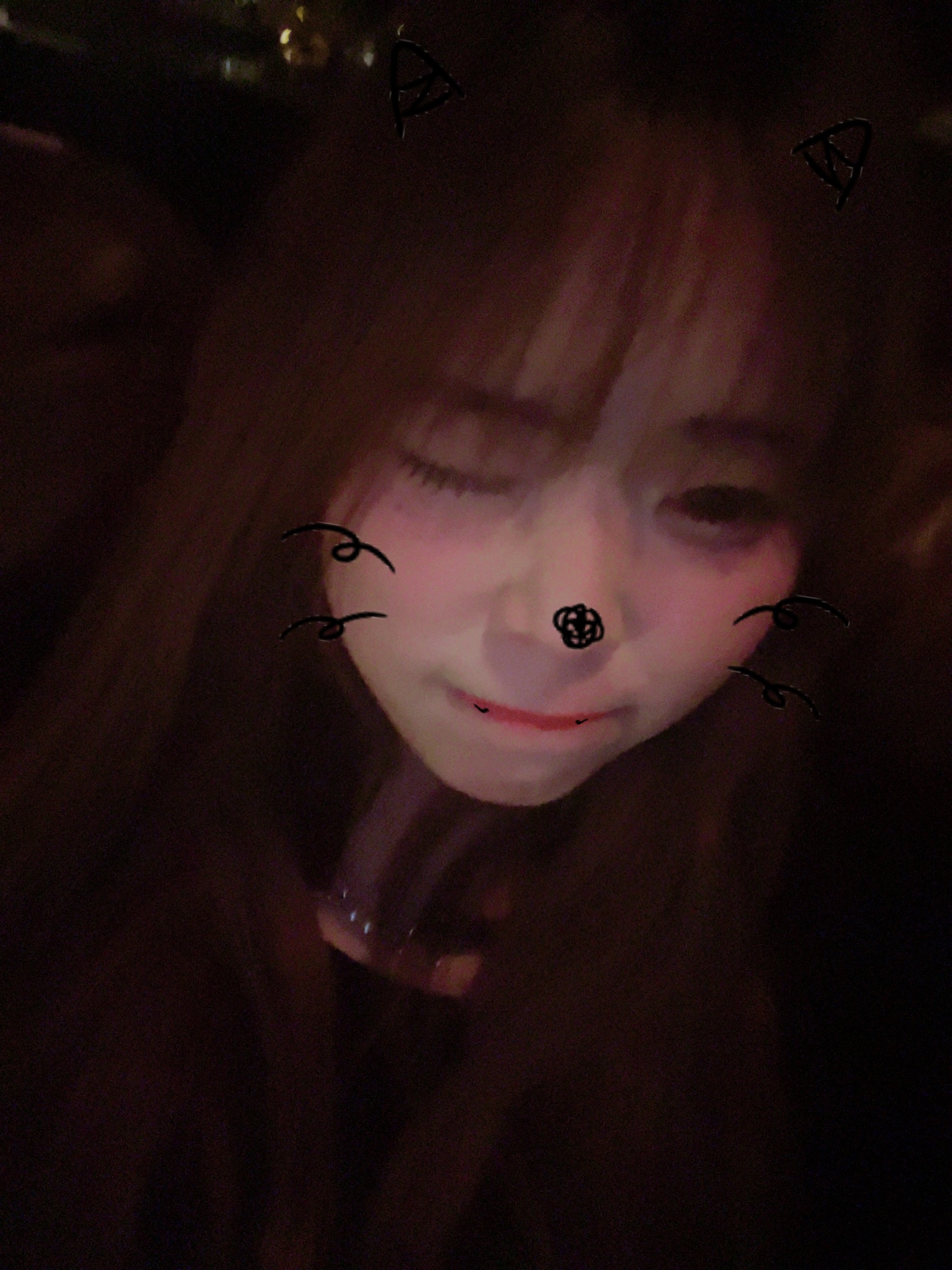 2/12昼、夜配信します?