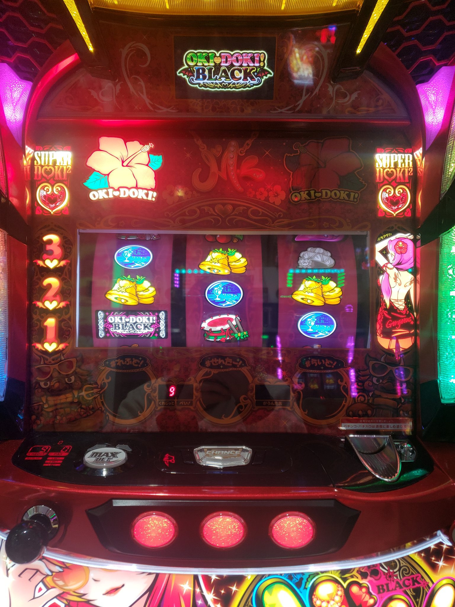 初めてのブログ〜〜〜〜っ！！！！！