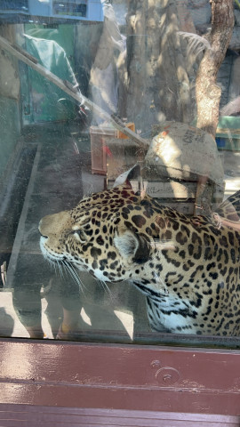 Reeちゃんの2025/5/12 (月) 11:40のブログ