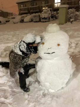 りんちゃんの2025/5/20 (火) 21:14のブログ