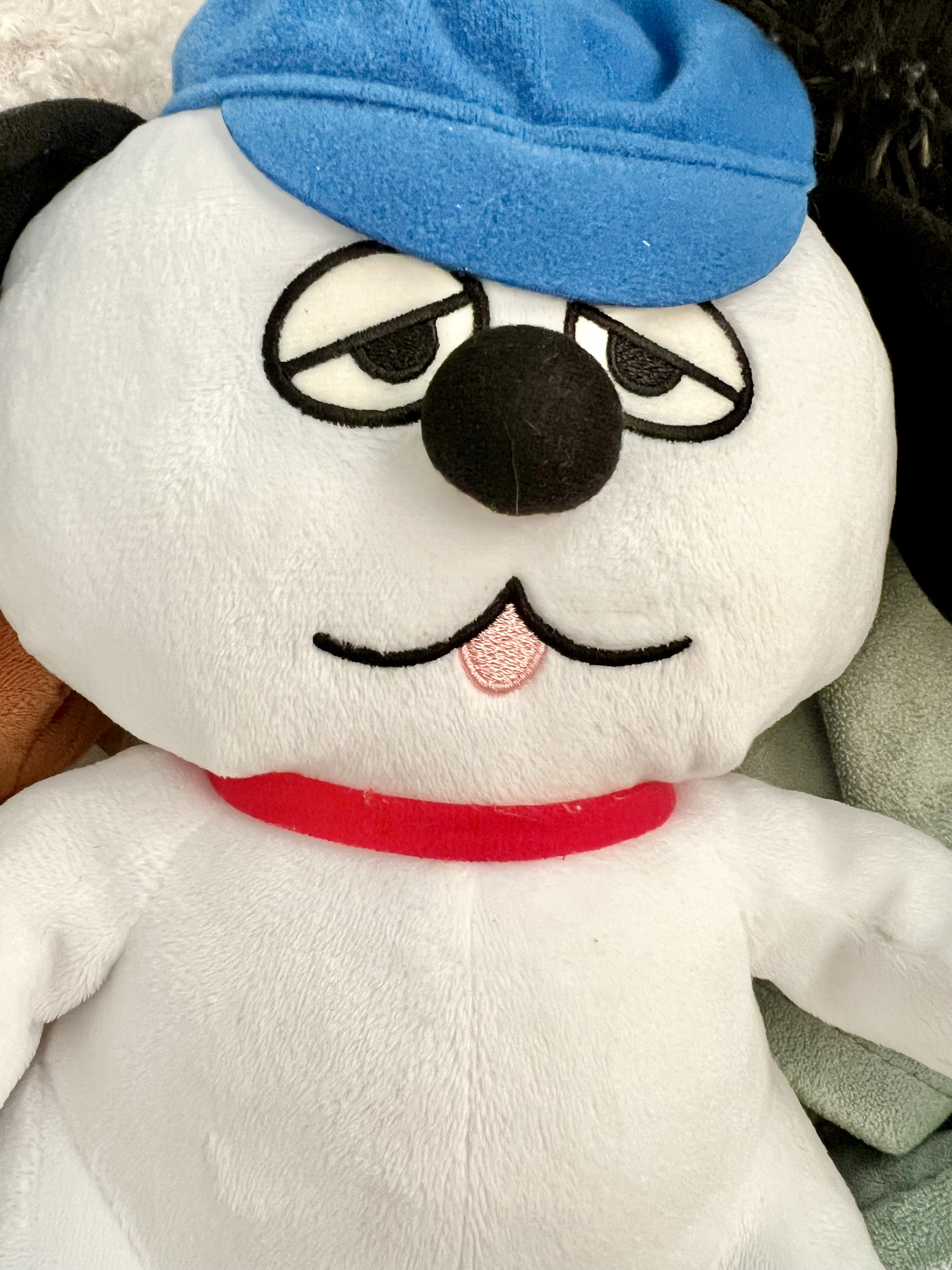 6月始まったねー！