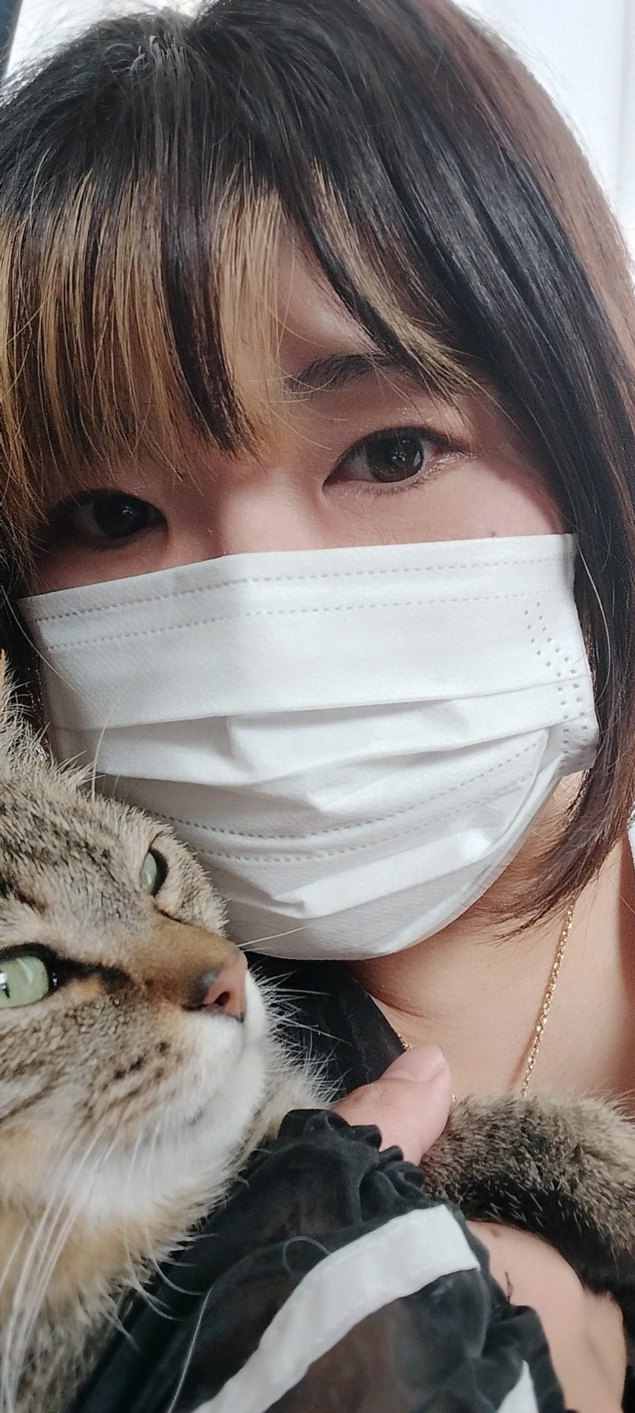 おはようございます！