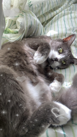 らいすちゃんの2025/7/6 (日) 20:19のブログ