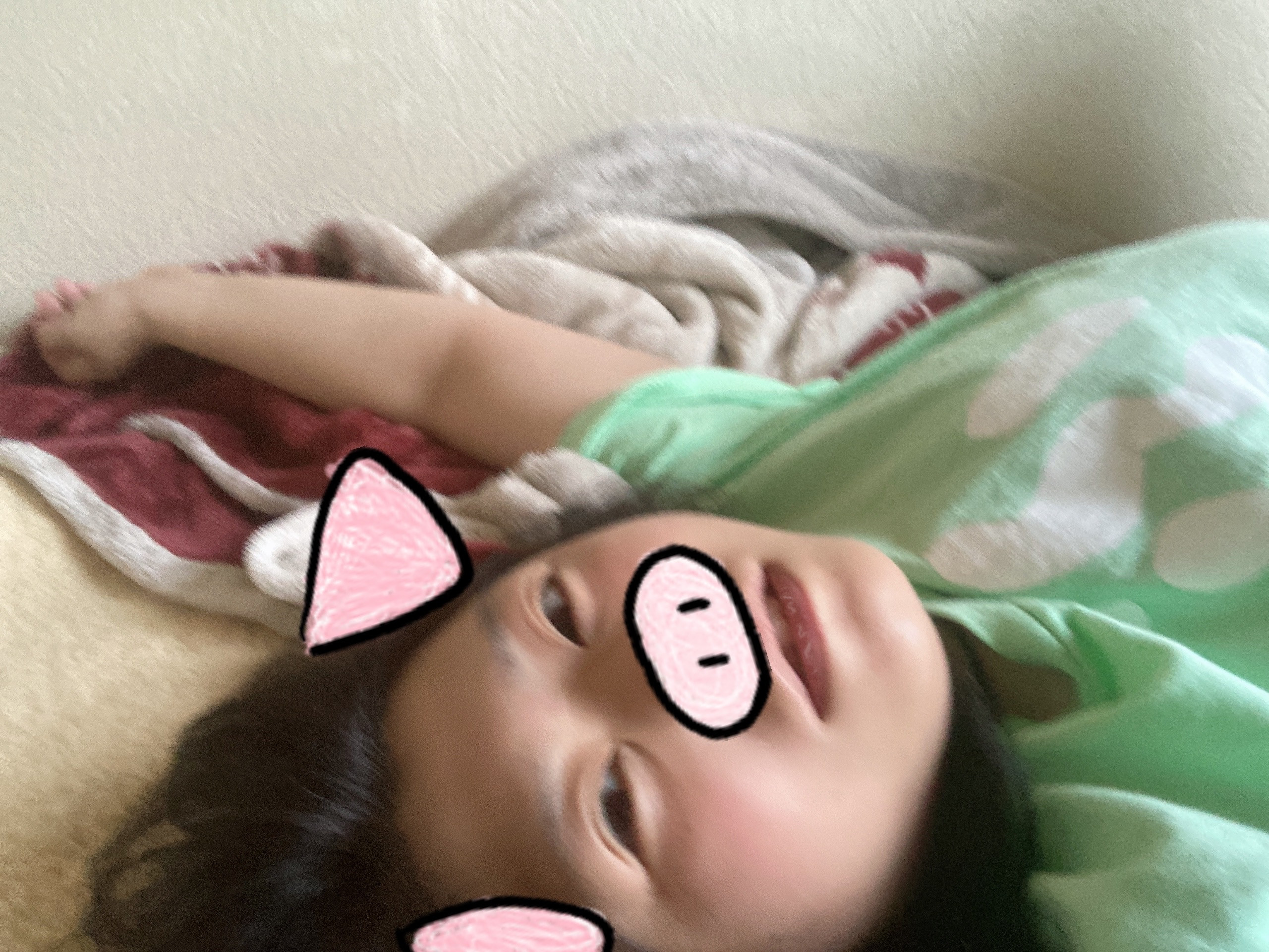 今日からまた東京！