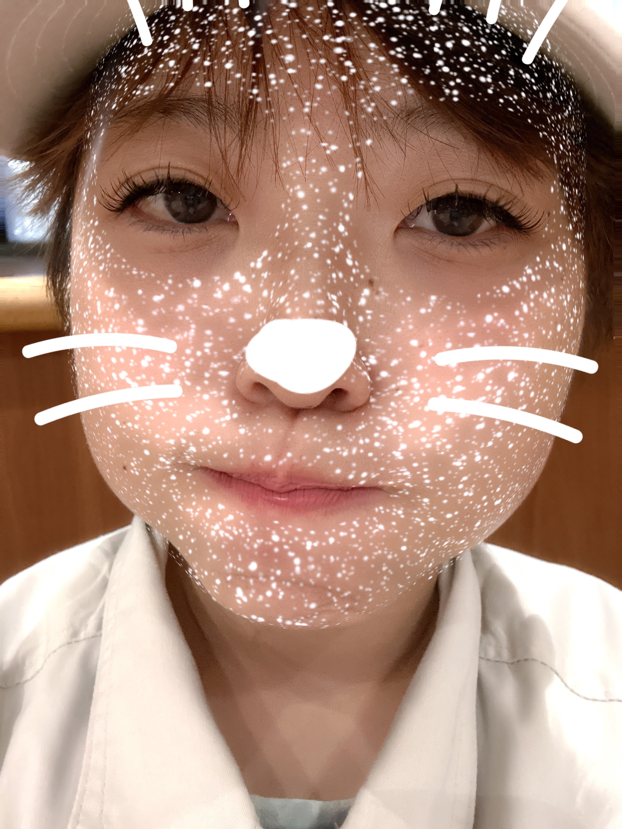 通常の仕事納めです！