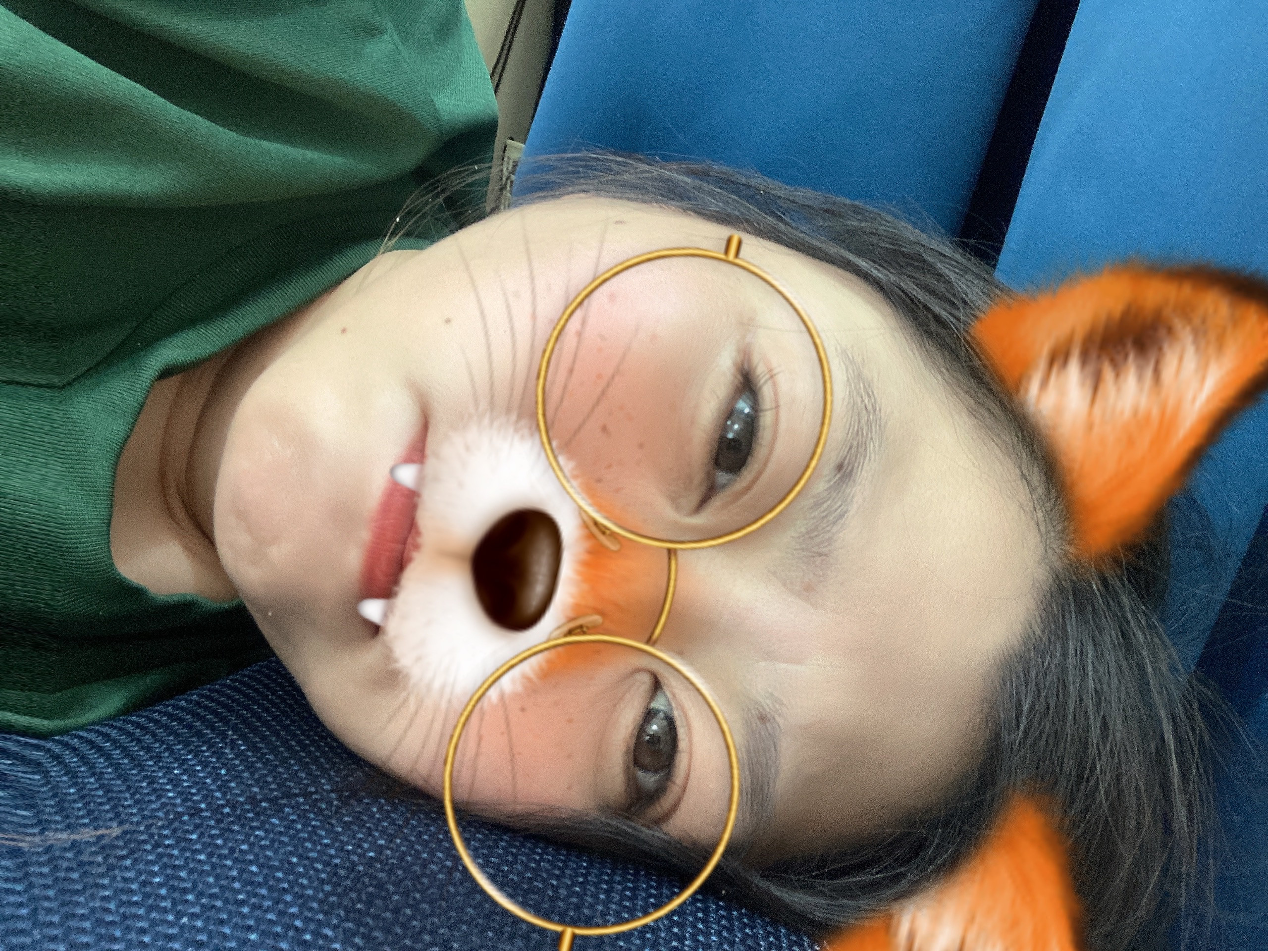 文言消されてしまった