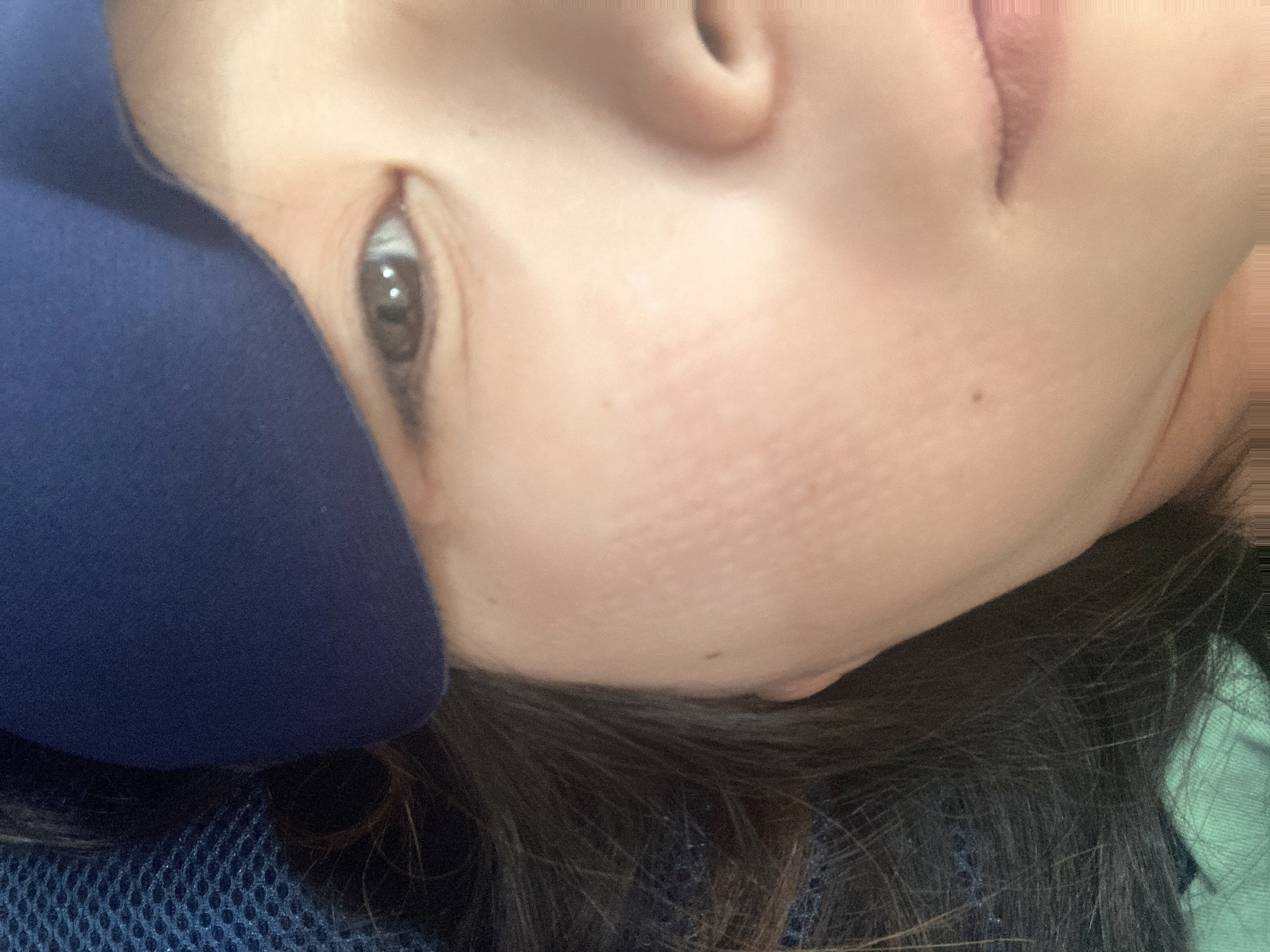 事務所でおねんね