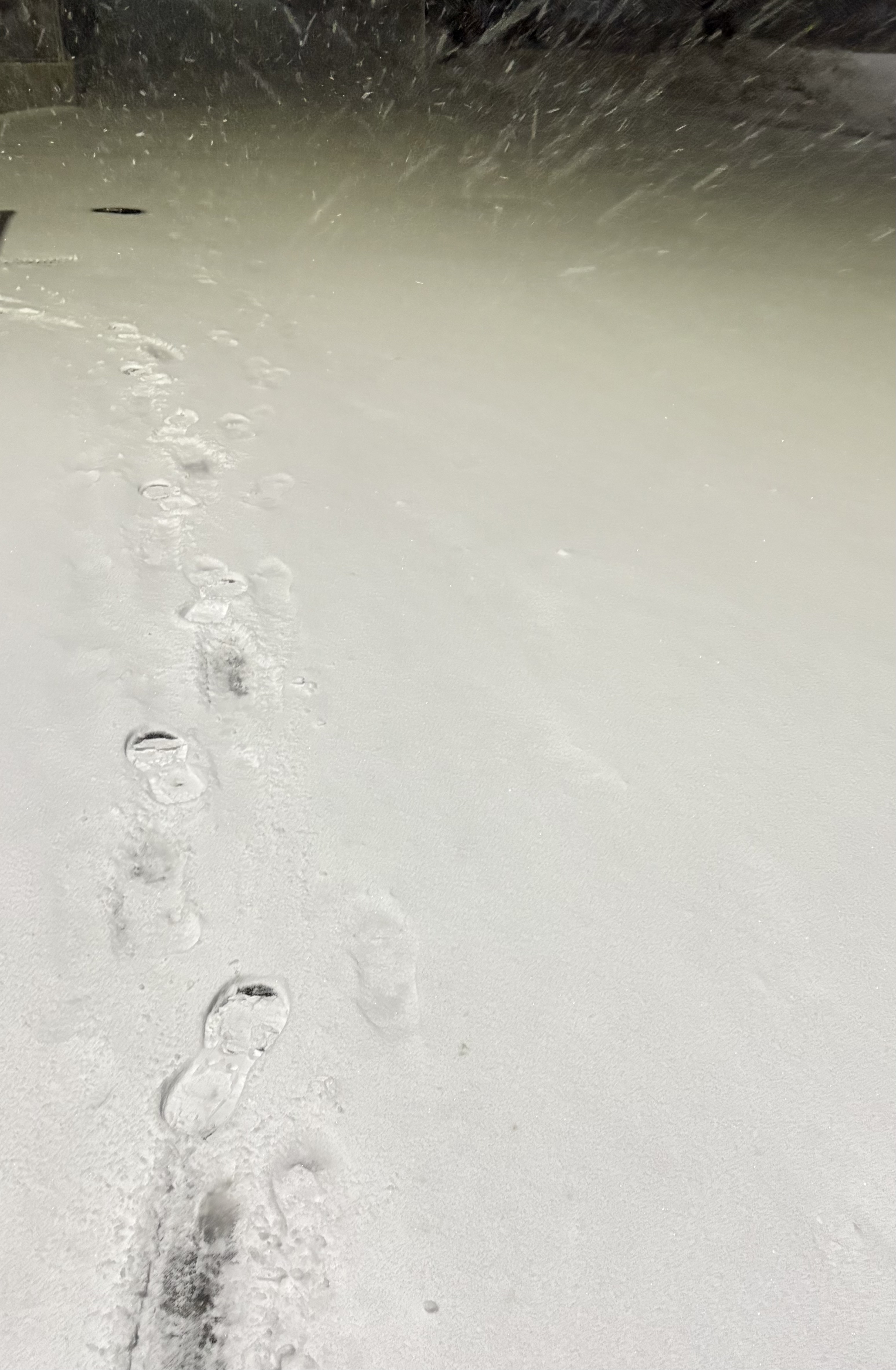 雪降ったなぁ〜