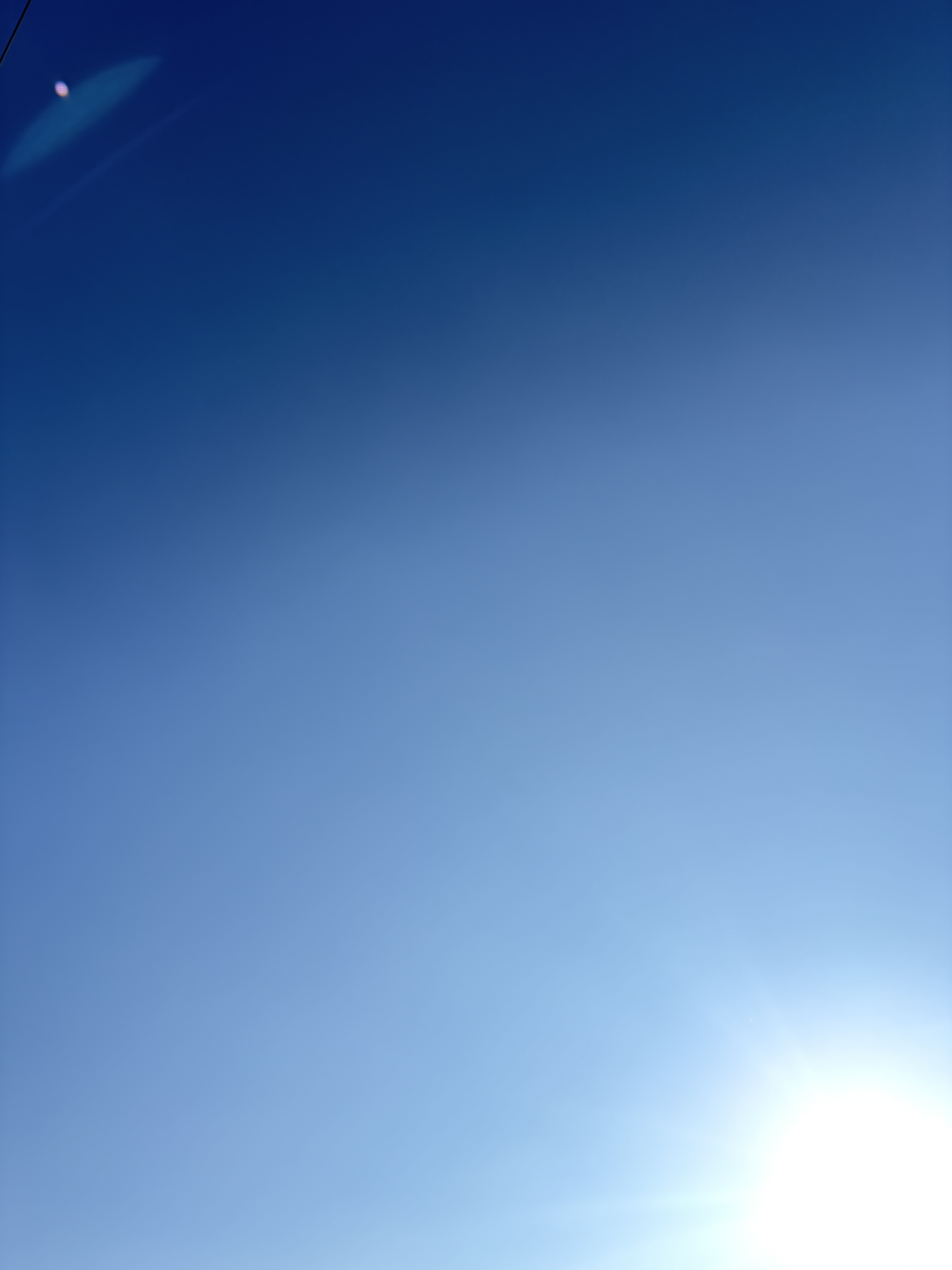 お散歩したよ！