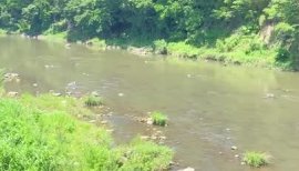 ☆かぐら☆彡ちゃんの7/6 (日) 18:04のブログ