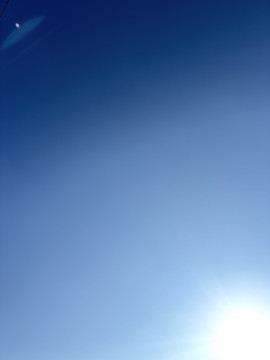 お散歩したよ！