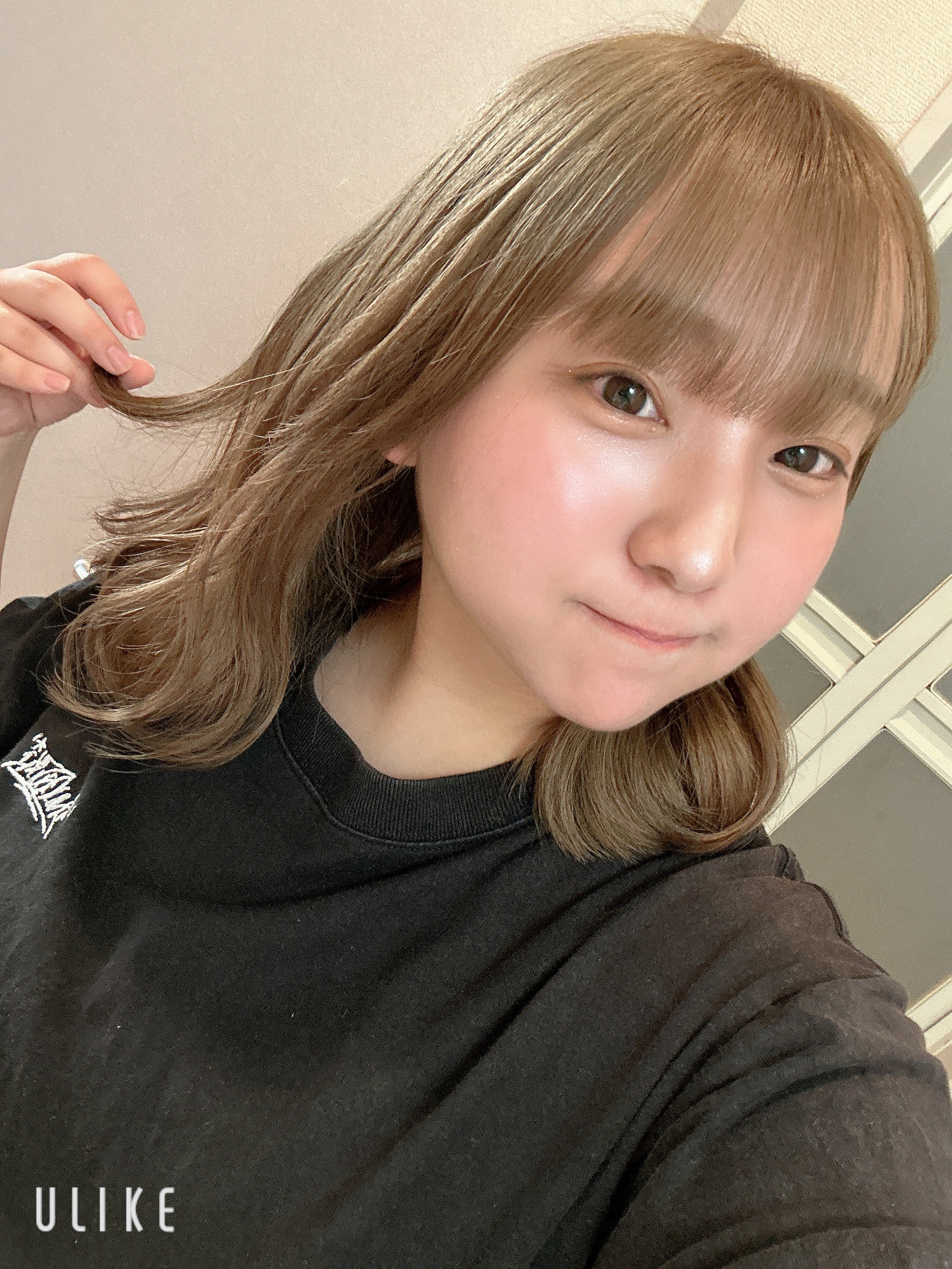 トイプードル！