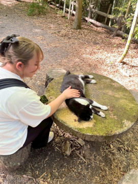 みさきちゃんの8/23 (土) 14:57のブログ
