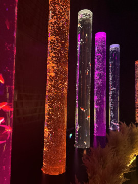 みさきちゃんの8/19 (火) 22:22のブログ