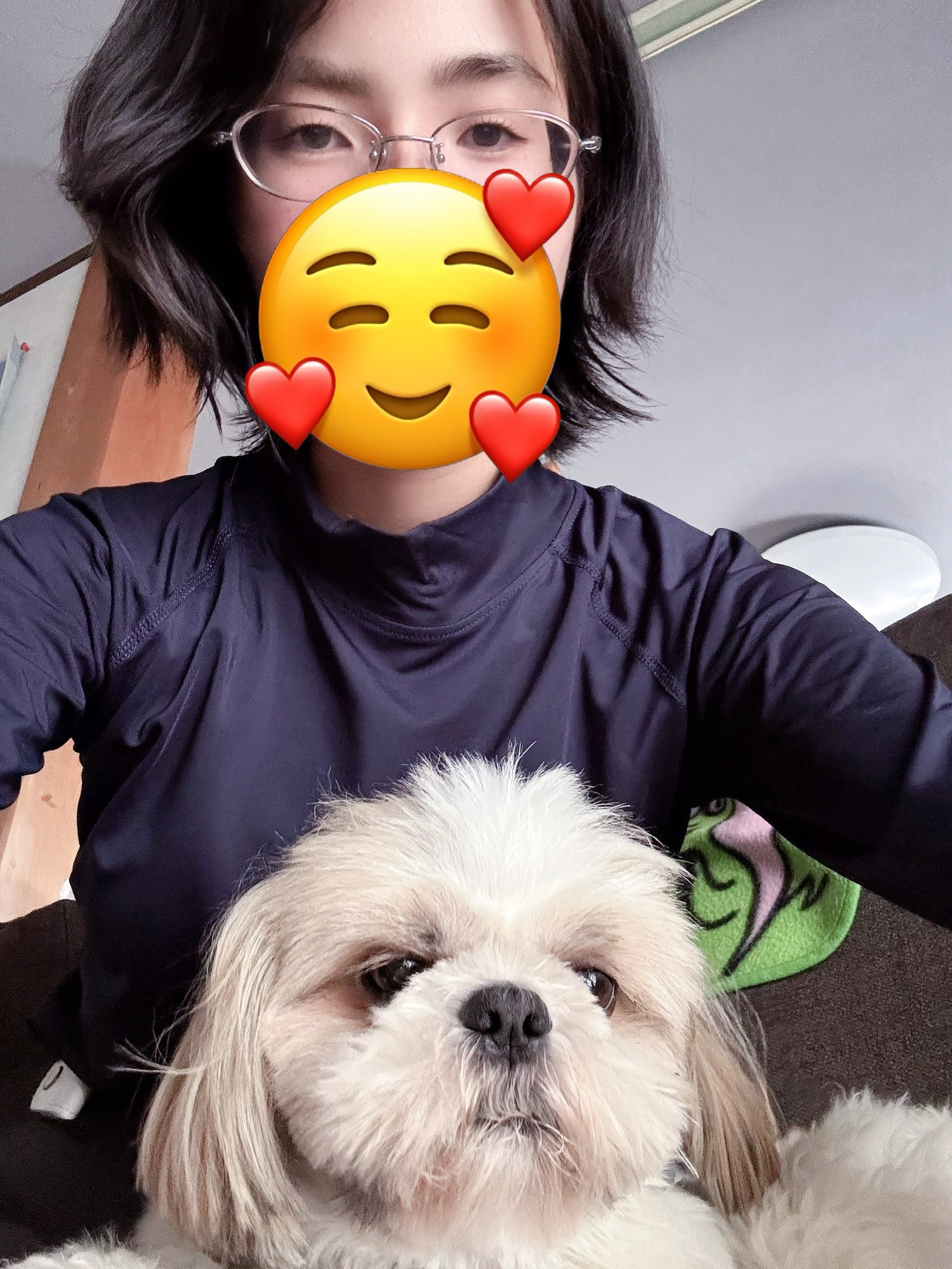 仕事から帰って来た時の癒し犬