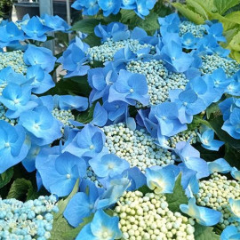 ひなちゃんの2025/6/11 (水) 09:41のブログ