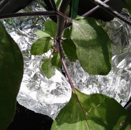 あきちゃんの2025/6/6 (金) 17:01のブログ