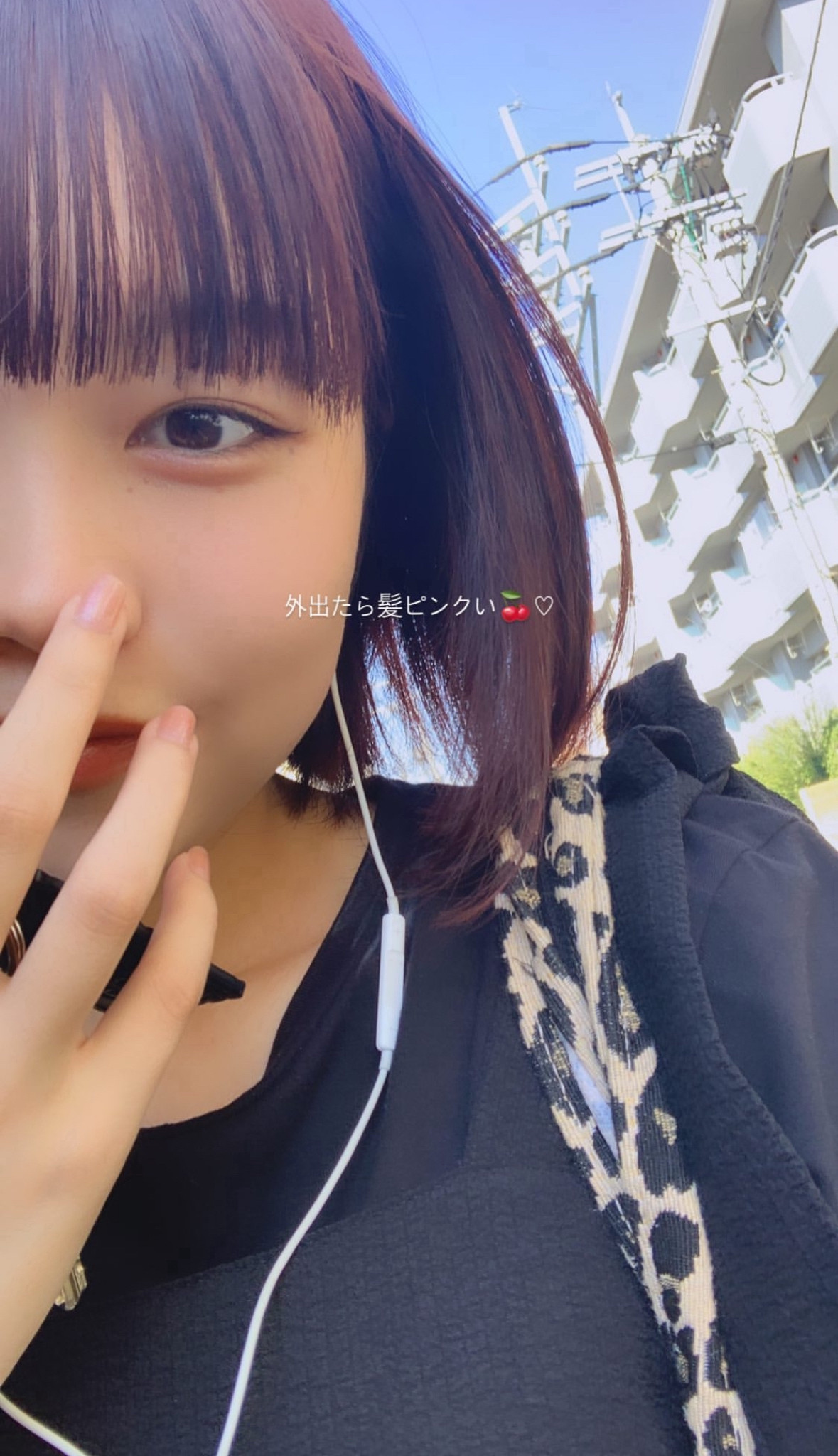 ボブはかわいい＾＾