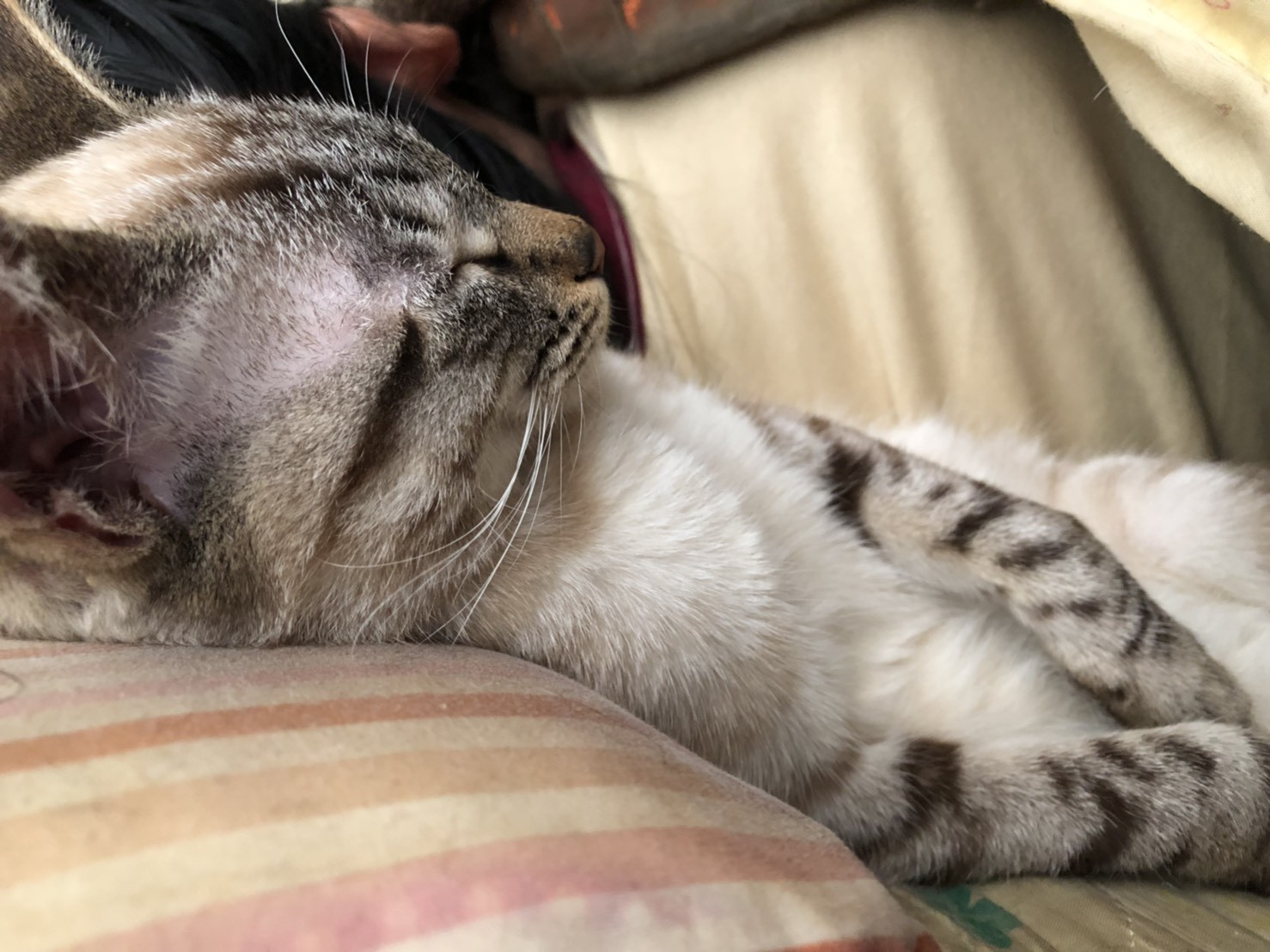 愛の所は雨だよ