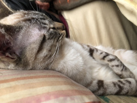 愛ちゃんの6/24 (火) 11:14のブログ