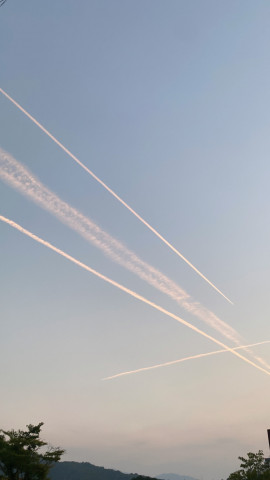 はなちゃんの6/14 (土) 22:19のブログ