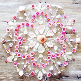 ララちゃんの2025/6/18 (水) 12:03のブログ