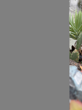 さらちちゃんの2025/6/18 (水) 14:52のブログ