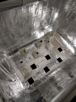 ＊YUKI＊ちゃんの6/22 (日) 03:29のブログ