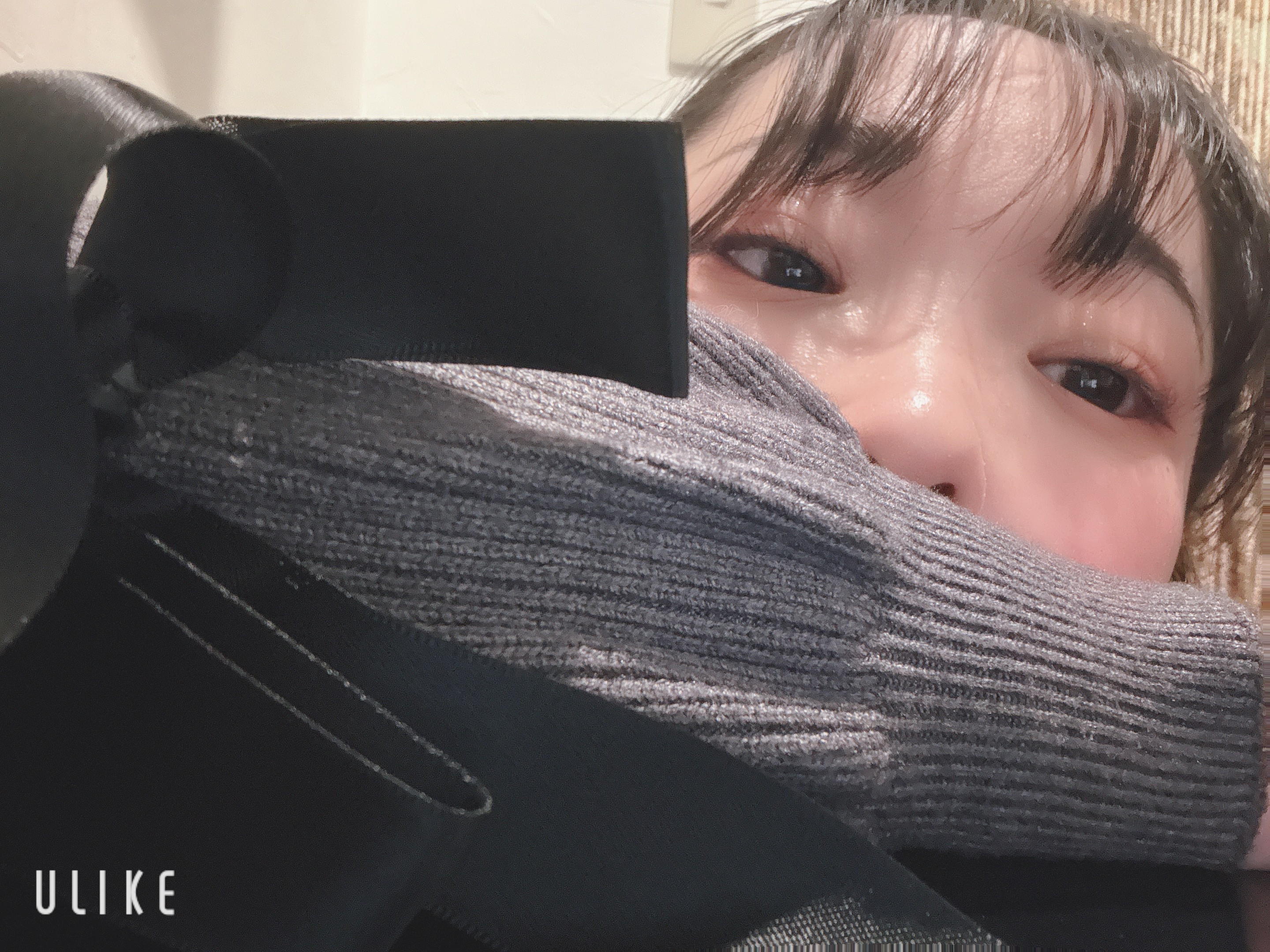 初めましてうさぎ?です