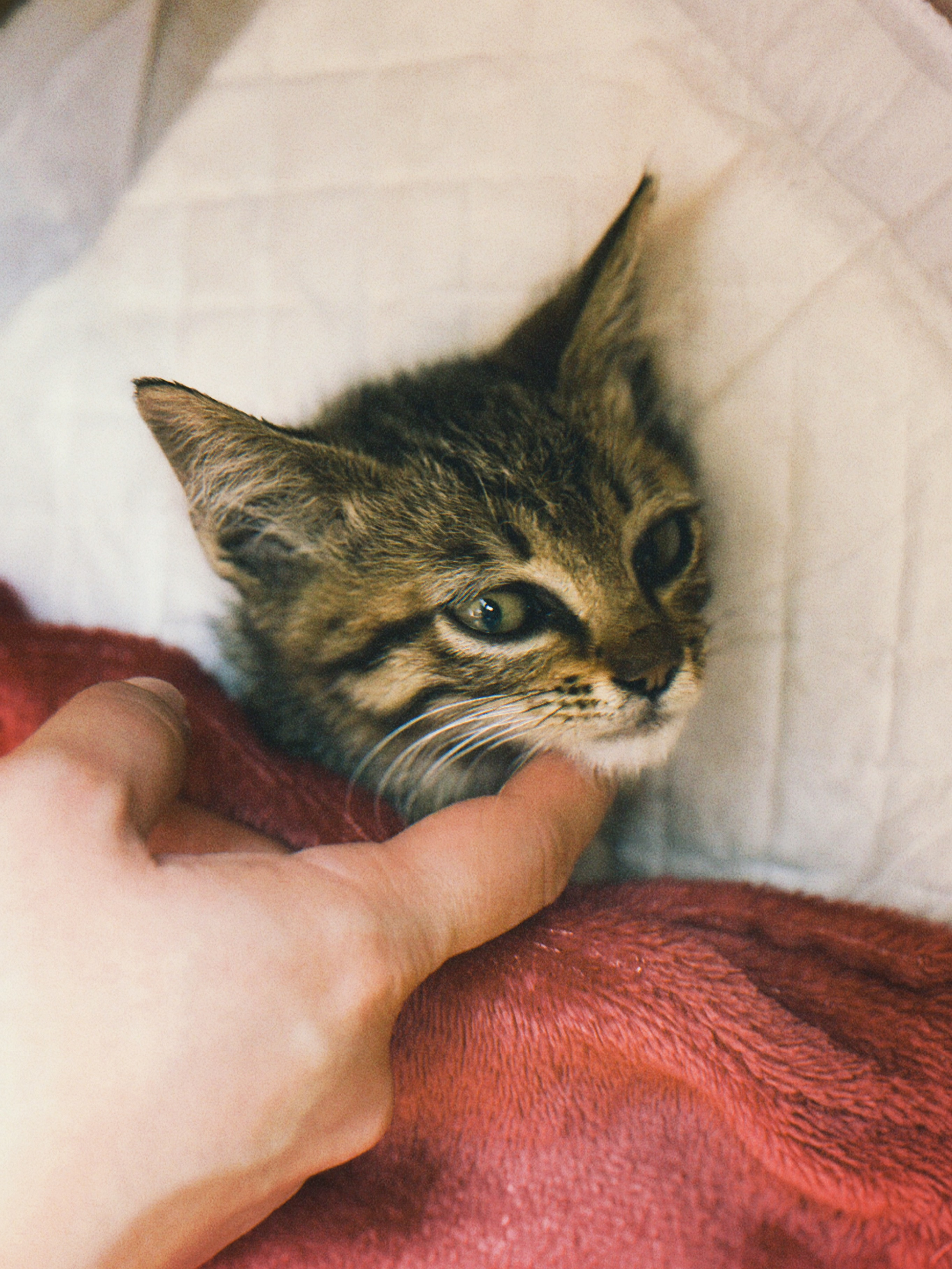 天使と出会いました