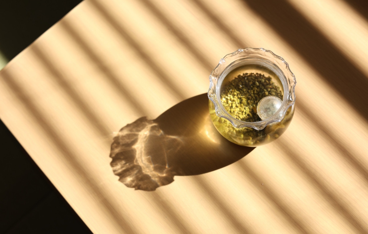 一眼レフで我が家のペット！