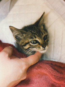 ぴーさんちゃんの7/24 (木) 23:27のブログ