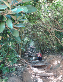 ぴーさんちゃんの7/11 (金) 16:20のブログ