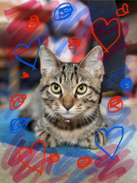 ぴーさんちゃんの10/11 (土) 13:24のブログ