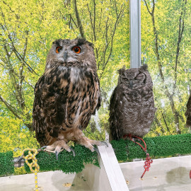 るんちゃんの2025/8/5 (火) 23:33のブログ