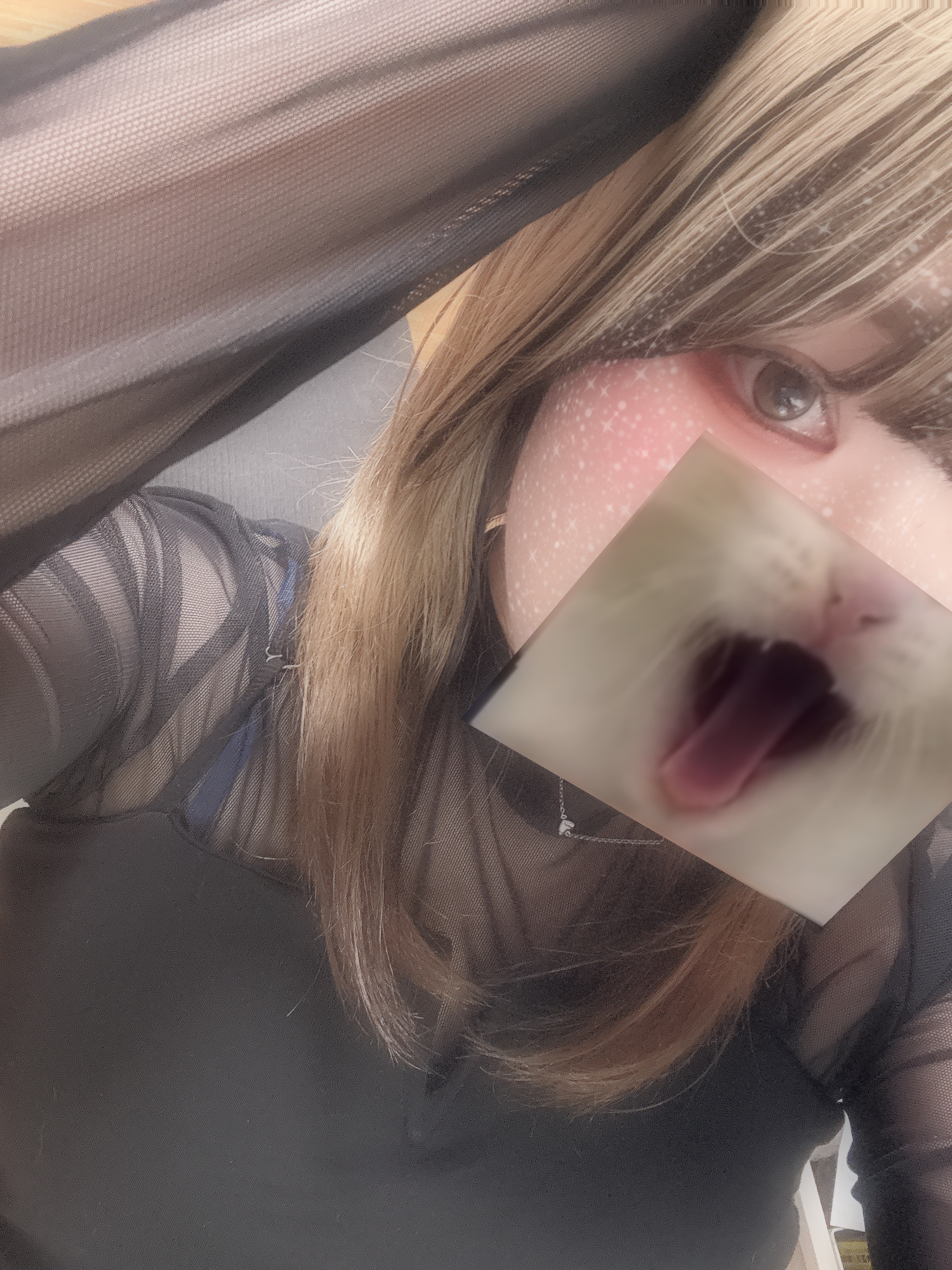 久しぶりにありがとう?