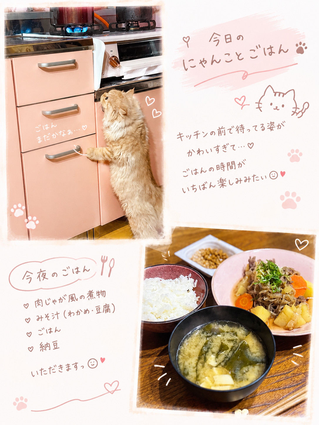 miku🐈ちゃんの昨日 20:15のブログ