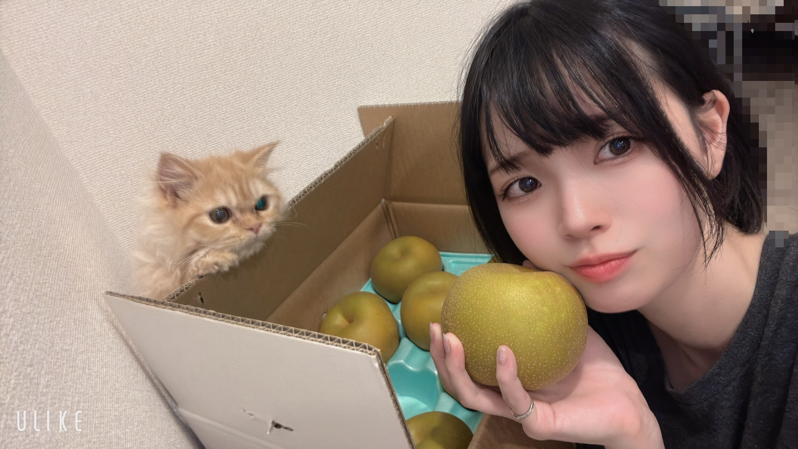 miku🐈ちゃんの8/5 (水) 20:08のブログ