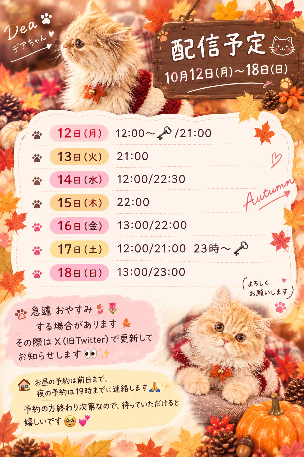 〜配信予定〜