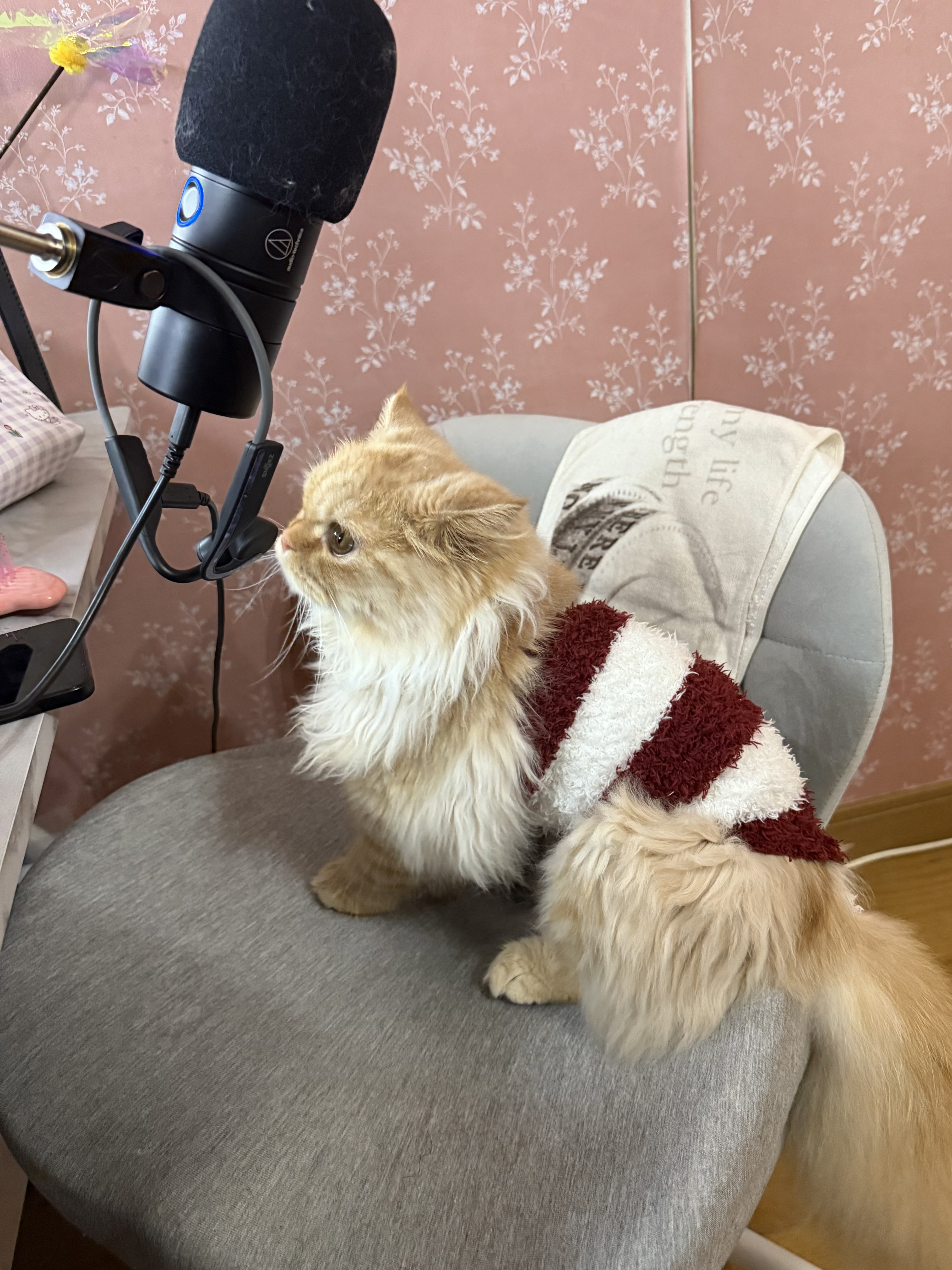 miku🐈ちゃんの10/4 (日) 20:56のブログ