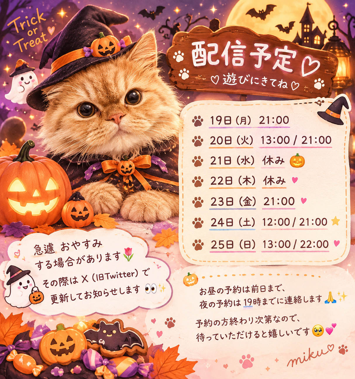 〜配信予定〜